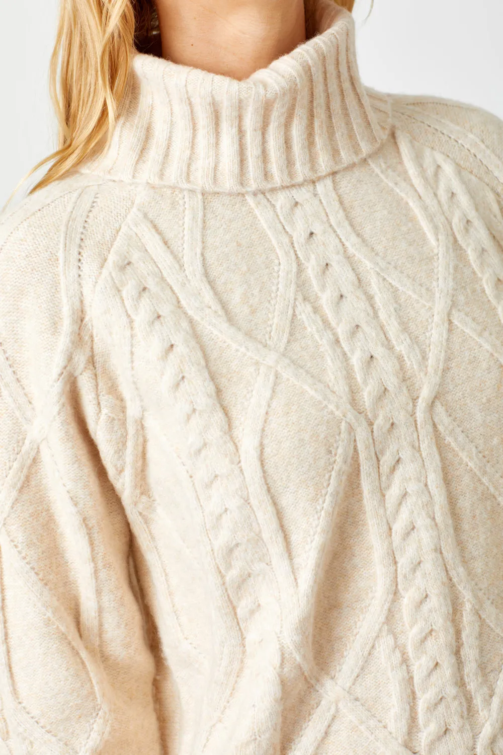 Cable Knit Turtle Neck Sweater